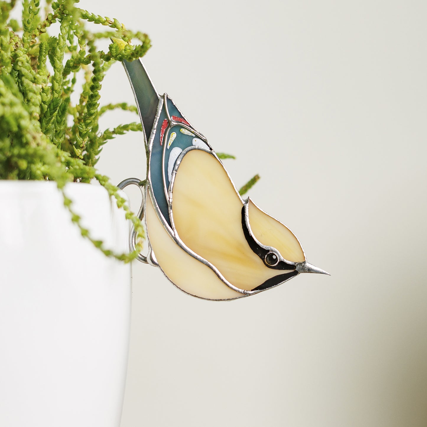 Vidrieras Cedar Waxwing suncatcher - Regalo amante de las aves