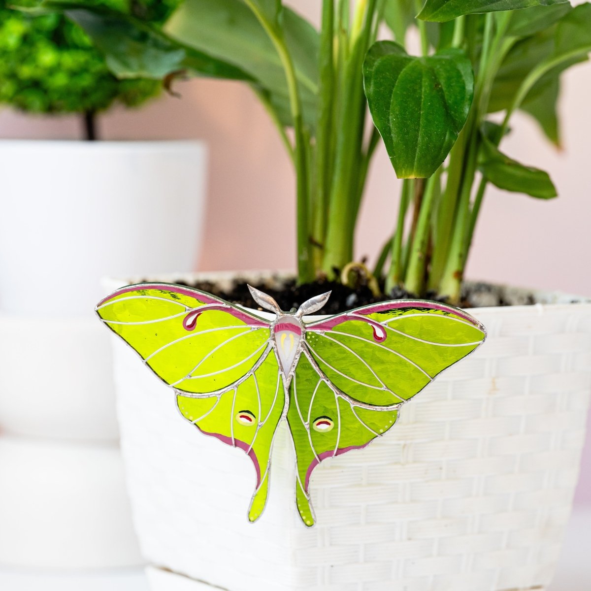 suncatcher stained_glass Luna Moth Stained Glass – Best - Selling Planter Decoration Gift for Mom | Gardener’s Favorite | Nature - Inspired Decor