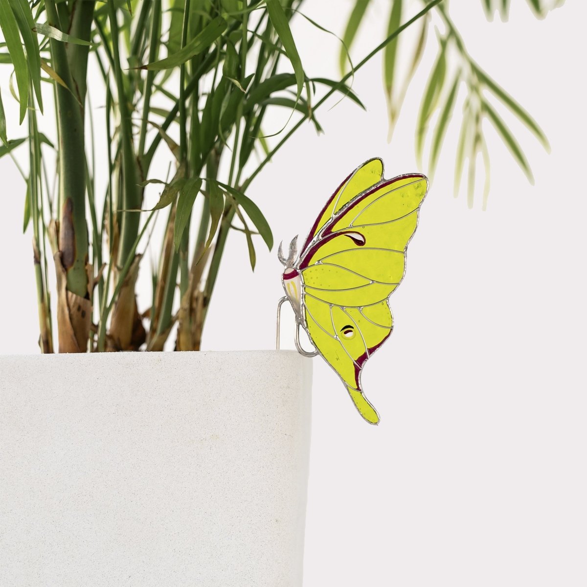 suncatcher stained_glass Luna Moth Stained Glass – Planter Decoration Symbol of Mystery & Transformation | Gift for Gardeners | Nature - Inspired Decor