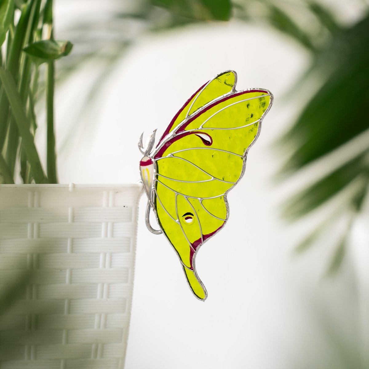 suncatcher stained_glass Luna Moth Stained Glass – Planter Decoration Symbol of Mystery & Transformation | Gift for Gardeners | Nature - Inspired Decor