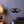 Rose butterfly stained glass wall decor with iridescent and mirror finish details