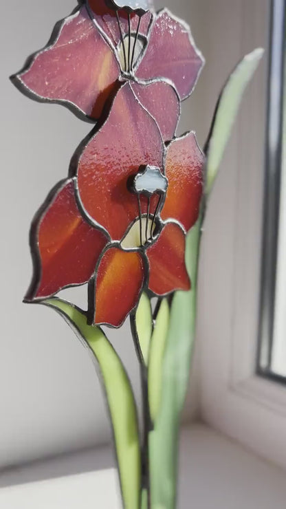 Vitrail Fleur de glaïeul rouge suncatcher - Décoration maison et jardin