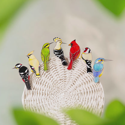 Attache-oiseau - Décoration multifonctionnelle en vitrail ✨ Attachez-le ! Déplacez-le ! Profitez-en !
