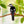 suncatcher Bird stained_glass Bird Clip - Stained Glass Multifunctional Decor ✨ Clip it! Move it! Enjoy it!