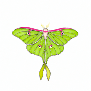 suncatcher butterfly stained_glass Luna Moth Butterfly Stained Glass Clip – Unique Gift for Plant Lovers, Home & Window Decor✨