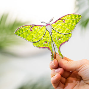 suncatcher Top product stained_glass Luna Moth Stained Glass – Best-Selling Planter Decoration Gift for Mom | Gardener’s Favorite