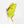 suncatcher Top product stained_glass Luna Moth Stained Glass – Planter Decoration Symbol of Mystery & Transformation | Gift for Gardeners