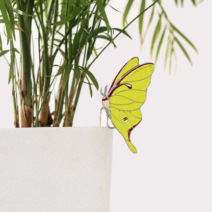 suncatcher stained_glass Luna Moth Stained Glass – Planter Decoration Symbol of Mystery & Transformation | Gift for Gardeners | Nature - Inspired Decor