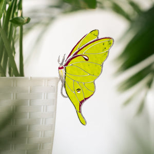 suncatcher stained_glass Luna Moth Stained Glass – Planter Decoration Symbol of Mystery & Transformation | Gift for Gardeners | Nature - Inspired Decor