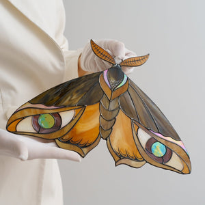 suncatcher stained_glass Peacock Butterfly Stained Glass Wall Decor