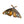 suncatcher stained_glass Peacock Butterfly Stained Glass Wall Decor
