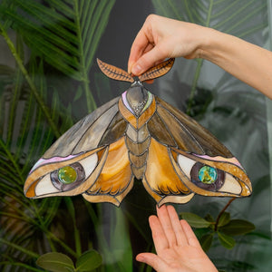 suncatcher stained_glass Peacock Butterfly Stained Glass Wall Decor