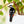 suncatcher Bird stained_glass Stained Glass Bird Clip for Plants – Clip - On Suncatcher, Window Decor, Gift Idea ✨