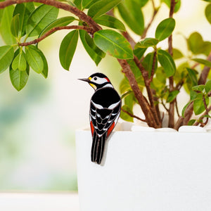 suncatcher Bird stained_glass Stained Glass Bird Clip for Plants – Clip - On Suncatcher, Window Decor, Gift Idea ✨