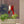 suncatcher stained_glass Stained Glass Cardinal Couple Plant Stake Decor