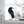 suncatcher stained_glass Stained Glass Raven Table Decor Sculpture