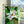 #suncatcher# - #Vitrage_art# - #stained_glass#