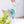 #suncatcher# - #Vitrage_art# - #stained_glass#