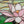 #suncatcher# - #Vitrage_art# - #stained_glass#