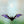 #suncatcher# - #Vitrage_art# - #stained_glass#