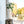 #suncatcher# - #Vitrage_art# - #stained_glass#