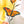 #suncatcher# - #Vitrage_art# - #stained_glass#