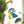 #suncatcher# - #Vitrage_art# - #stained_glass#